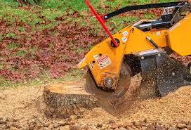 Best Tree Removal  in El Paso De Robles, CA