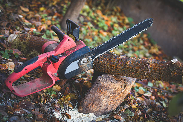 Best Lawn Maintenance Plans  in El Paso De Robles, CA
